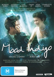 Mood Indigo  (2013) (DVD)